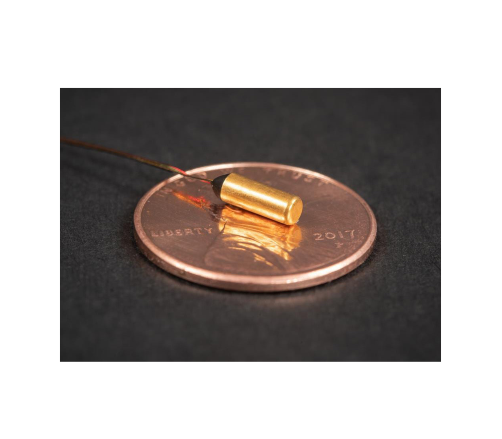 Scientific Instruments RO-600氧化釕溫度傳感器